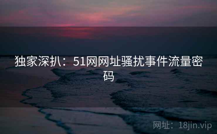 独家深扒：51网网址骚扰事件流量密码