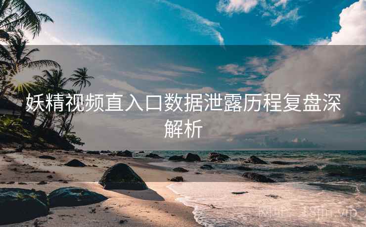 妖精视频直入口数据泄露历程复盘深解析