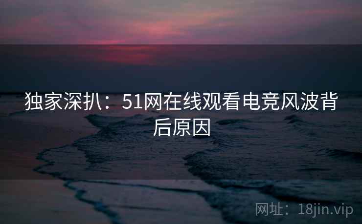 独家深扒:51网在线观看电竞风波背后原因 独家深扒:51网在线观看电竞风波背后原因